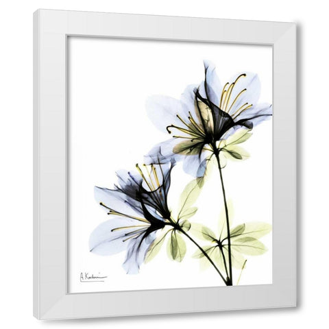 Azalea Duo White Modern Wood Framed Art Print by Koetsier, Albert