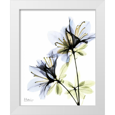 Azalea Duo White Modern Wood Framed Art Print by Koetsier, Albert