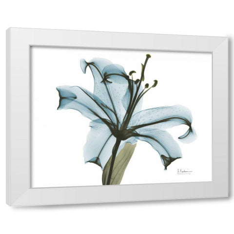 Teal Lily White Modern Wood Framed Art Print by Koetsier, Albert