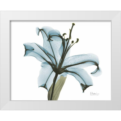 Teal Lily White Modern Wood Framed Art Print by Koetsier, Albert