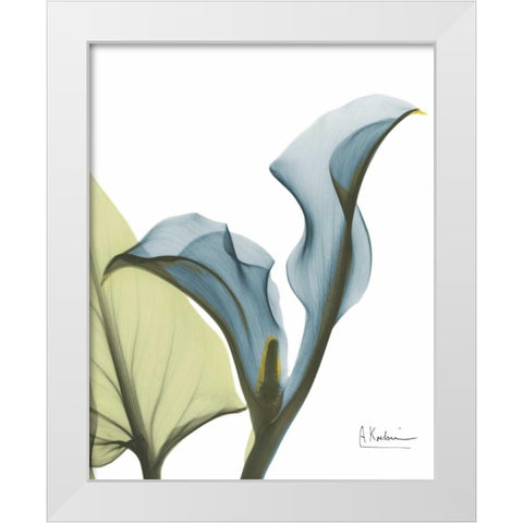 Calla Blues White Modern Wood Framed Art Print by Koetsier, Albert