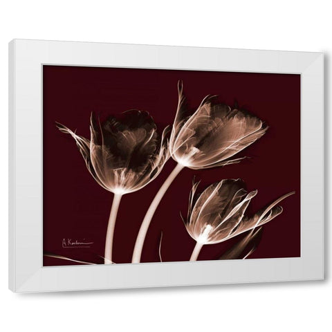 Crimson Tulips White Modern Wood Framed Art Print by Koetsier, Albert