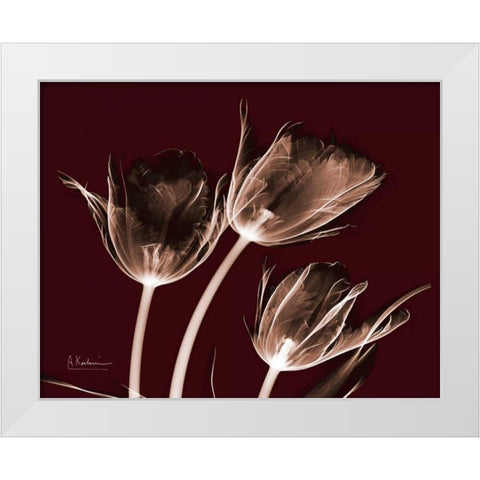 Crimson Tulips White Modern Wood Framed Art Print by Koetsier, Albert