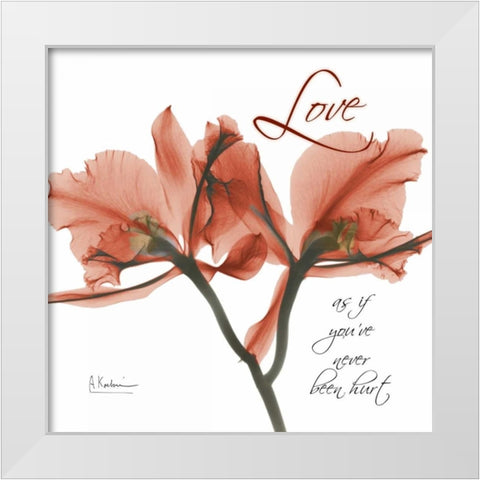 Royal Red Orchid - Love White Modern Wood Framed Art Print by Koetsier, Albert