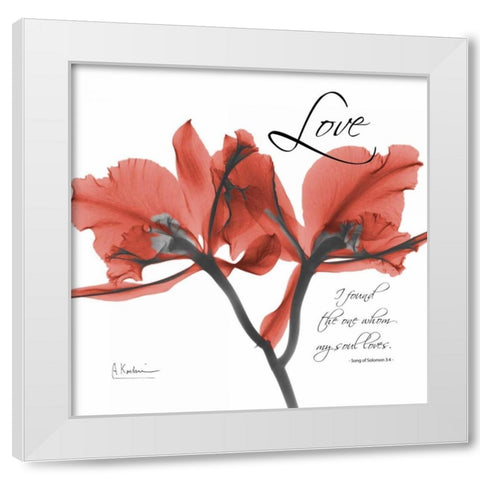 Royal Red Orchid - Love Again White Modern Wood Framed Art Print by Koetsier, Albert