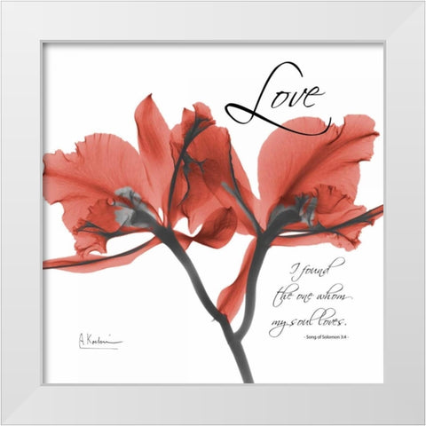 Royal Red Orchid - Love Again White Modern Wood Framed Art Print by Koetsier, Albert