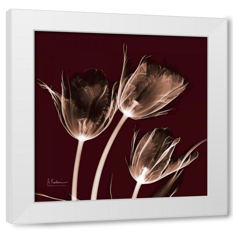 Tabitha Tulip Trio White Modern Wood Framed Art Print by Koetsier, Albert