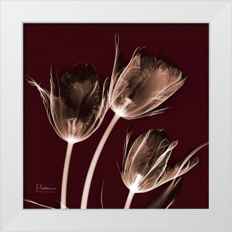 Tabitha Tulip Trio White Modern Wood Framed Art Print by Koetsier, Albert