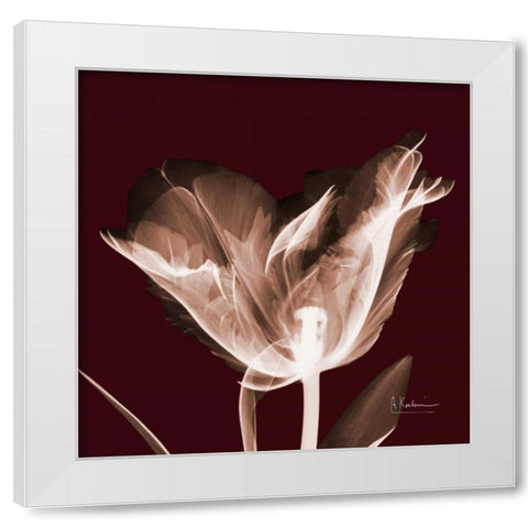 Tabitha Tulip Single White Modern Wood Framed Art Print by Koetsier, Albert