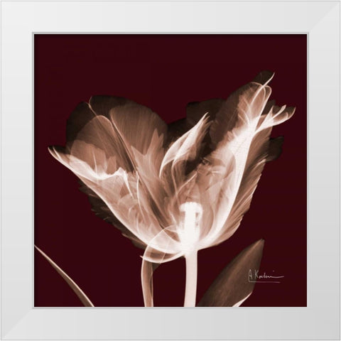 Tabitha Tulip Single White Modern Wood Framed Art Print by Koetsier, Albert