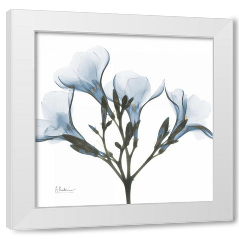 May Flowers White Modern Wood Framed Art Print by Koetsier, Albert