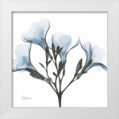 May Flowers White Modern Wood Framed Art Print by Koetsier, Albert