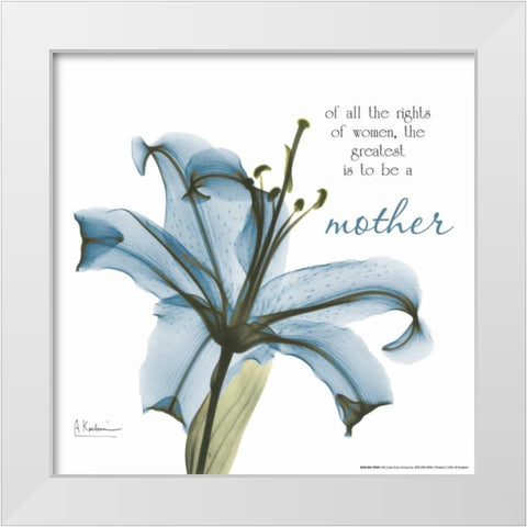 Mother Lily A36 White Modern Wood Framed Art Print by Koetsier, Albert
