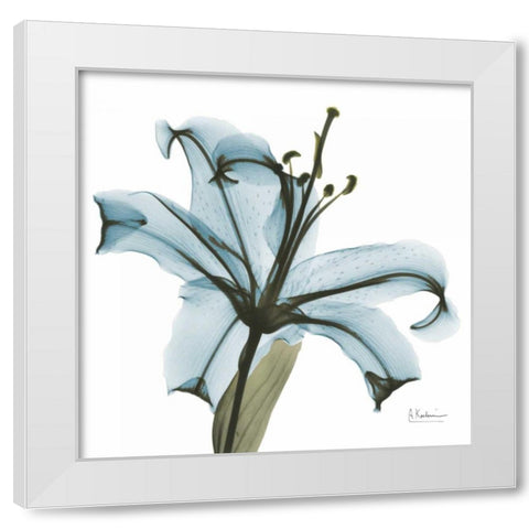 May Lily White Modern Wood Framed Art Print by Koetsier, Albert