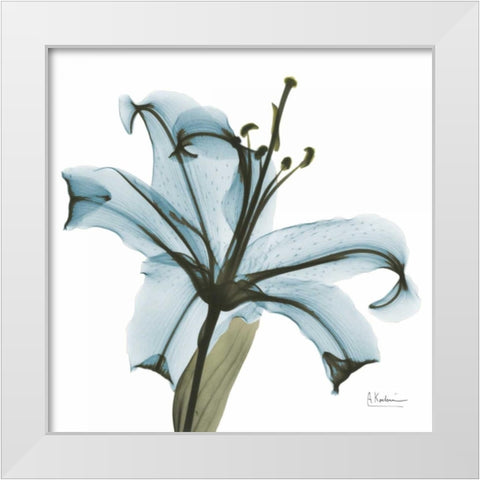 May Lily White Modern Wood Framed Art Print by Koetsier, Albert