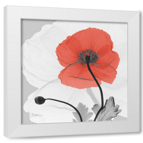 Poppy Princess White Modern Wood Framed Art Print by Koetsier, Albert