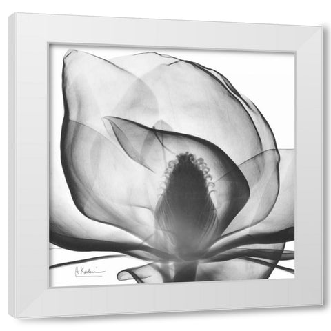 Magnolia A43 White Modern Wood Framed Art Print by Koetsier, Albert