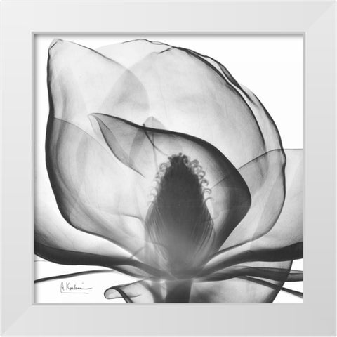 Magnolia A43 White Modern Wood Framed Art Print by Koetsier, Albert