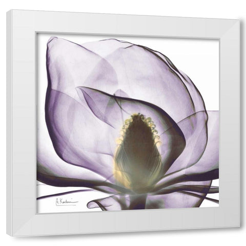 Precious Orchid in Purple Close White Modern Wood Framed Art Print by Koetsier, Albert
