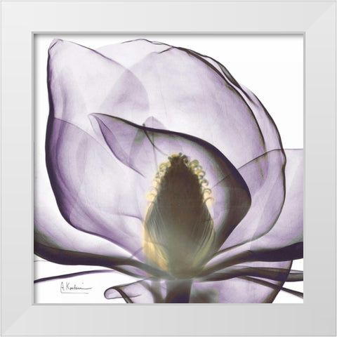 Precious Orchid in Purple Close White Modern Wood Framed Art Print by Koetsier, Albert