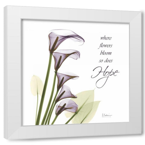 Swaying Callas - Hope White Modern Wood Framed Art Print by Koetsier, Albert