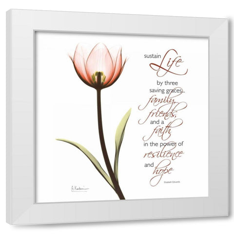 Swaying Tulip Pink - Life White Modern Wood Framed Art Print by Koetsier, Albert