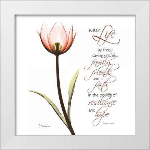 Swaying Tulip Pink - Life White Modern Wood Framed Art Print by Koetsier, Albert