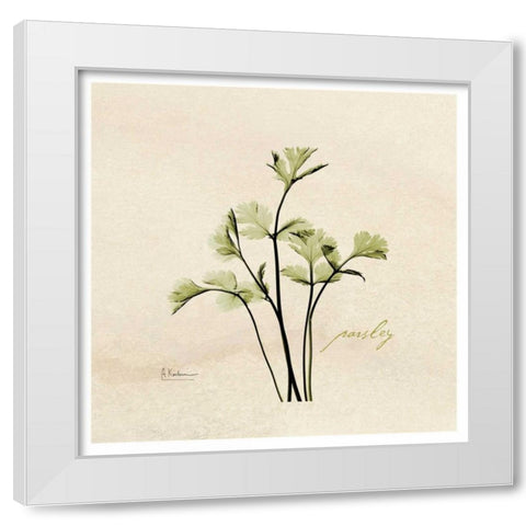 Parsley in Bloom White Modern Wood Framed Art Print by Koetsier, Albert