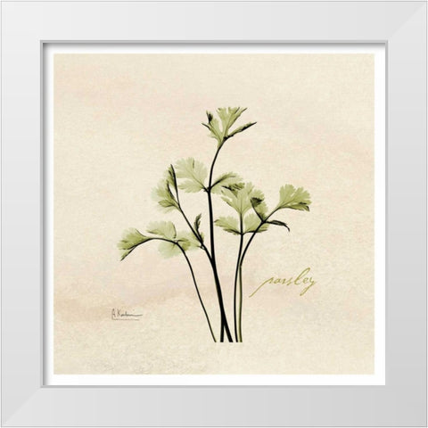 Parsley in Bloom White Modern Wood Framed Art Print by Koetsier, Albert