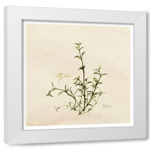 Thyme in Bloom White Modern Wood Framed Art Print by Koetsier, Albert