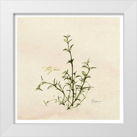 Thyme in Bloom White Modern Wood Framed Art Print by Koetsier, Albert