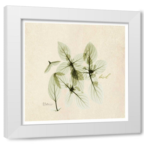 Basil in Bloom White Modern Wood Framed Art Print by Koetsier, Albert