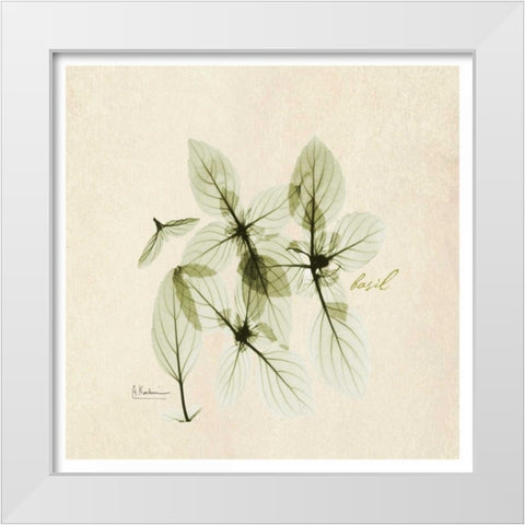 Basil in Bloom White Modern Wood Framed Art Print by Koetsier, Albert