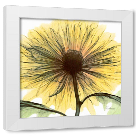 Dream in Yellow White Modern Wood Framed Art Print by Koetsier, Albert