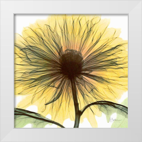 Dream in Yellow White Modern Wood Framed Art Print by Koetsier, Albert