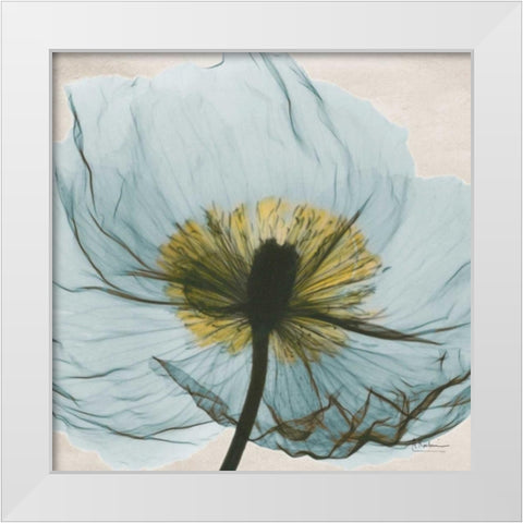 Dream in Pale  Blue White Modern Wood Framed Art Print by Koetsier, Albert