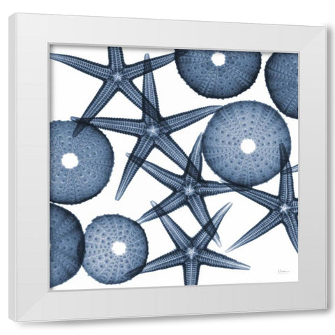 Collage of Starfish and Sea Urchins White Modern Wood Framed Art Print by Koetsier, Albert