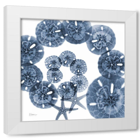 Collage of  Sand Dollars and Starfish White Modern Wood Framed Art Print by Koetsier, Albert