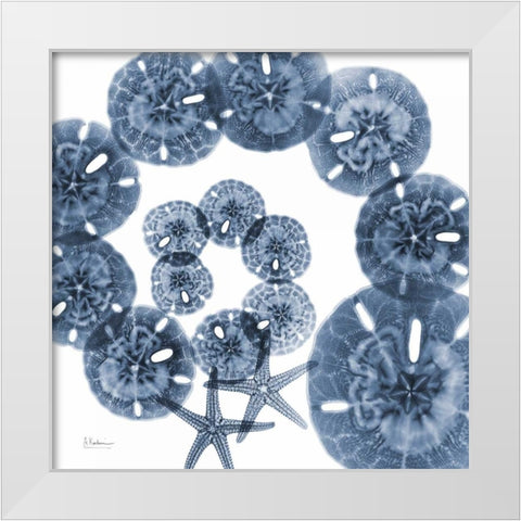 Collage of  Sand Dollars and Starfish White Modern Wood Framed Art Print by Koetsier, Albert