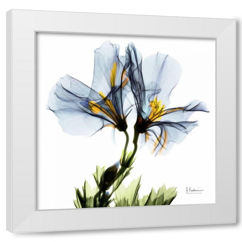 Blue Azalea in Bloom White Modern Wood Framed Art Print by Koetsier, Albert