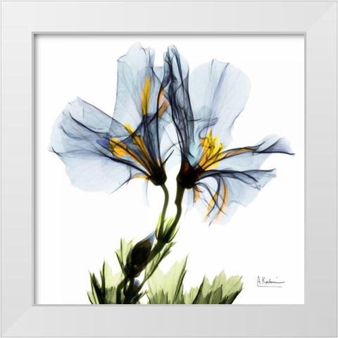 Blue Azalea in Bloom White Modern Wood Framed Art Print by Koetsier, Albert