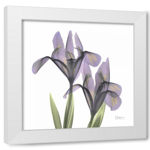 A Gift of Flowers in Purple White Modern Wood Framed Art Print by Koetsier, Albert