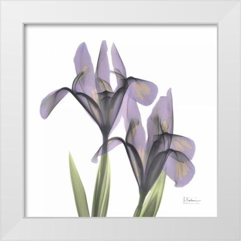 A Gift of Flowers in Purple White Modern Wood Framed Art Print by Koetsier, Albert