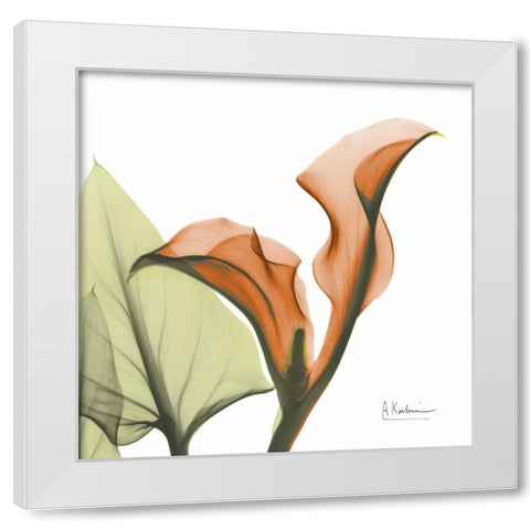 A Gift of Calla Lilies in Orange White Modern Wood Framed Art Print by Koetsier, Albert