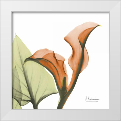 A Gift of Calla Lilies in Orange White Modern Wood Framed Art Print by Koetsier, Albert