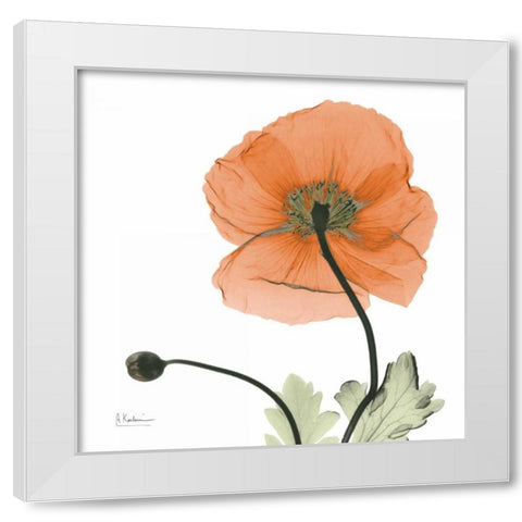 A Gift of Flowers in Orange White Modern Wood Framed Art Print by Koetsier, Albert