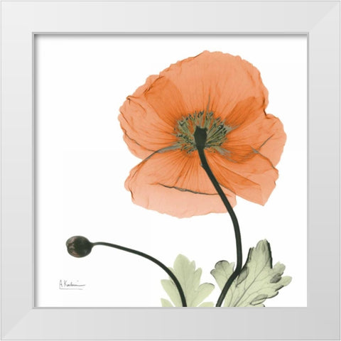 A Gift of Flowers in Orange White Modern Wood Framed Art Print by Koetsier, Albert