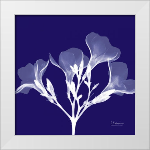 Crocuss White on Purple White Modern Wood Framed Art Print by Koetsier, Albert