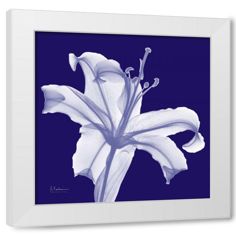 Lily White on Purple White Modern Wood Framed Art Print by Koetsier, Albert