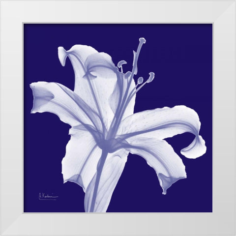 Lily White on Purple White Modern Wood Framed Art Print by Koetsier, Albert